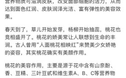 美颜秘籍护肤品真有人用过吗？