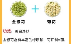 泡水喝真能去火排毒祛痘吗？