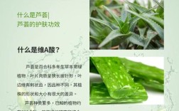 芦荟擦脸真能祛痘吗？