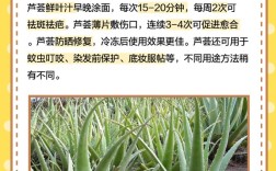 哪种芦荟能消炎祛痘？