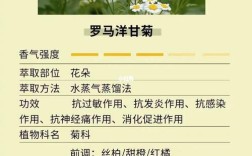 洋甘菊护肤品到底有哪些功效与作用？