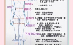 女装呢料腰围测量怎么量？