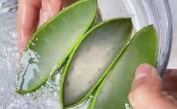 芦荟祛痘真的有效吗？