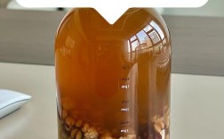 薏米搭配什么煮能祛痘？