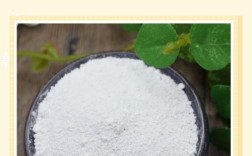 珍珠粉加水能祛痘吗？