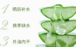 芦荟原液祛痘怎么用才有效？
