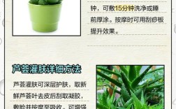 木立芦荟祛痘膏效果真的好吗？