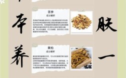 古代祛痘秘方真能解决现代痘痘问题？