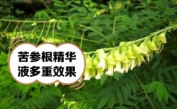 苦参祛痘霜效果到底好不好？