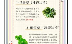 孕妇能用和芙祛痘霜吗？