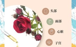 护肤精油能天天用吗？