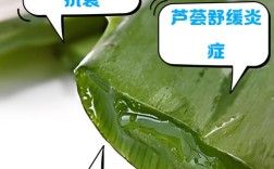 孕妇能用芦荟护肤品吗