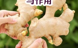 姜片祛痘印多久见效？