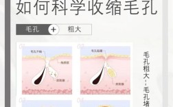 祛痘收缩毛孔小妙招学生