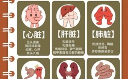 祛痘排毒到底排的是什么毒？