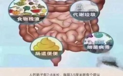 护肤品真能排毒吗？