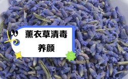 薰衣草泡茶真能祛痘吗？