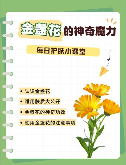 玫瑰金盏花真的能祛痘吗?-图2 玫瑰金盏花真的能祛痘吗?-图2