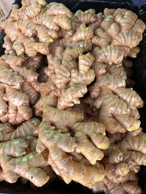 生姜祛痘印多久见效?-图1 生姜祛痘印多久见效?-图1