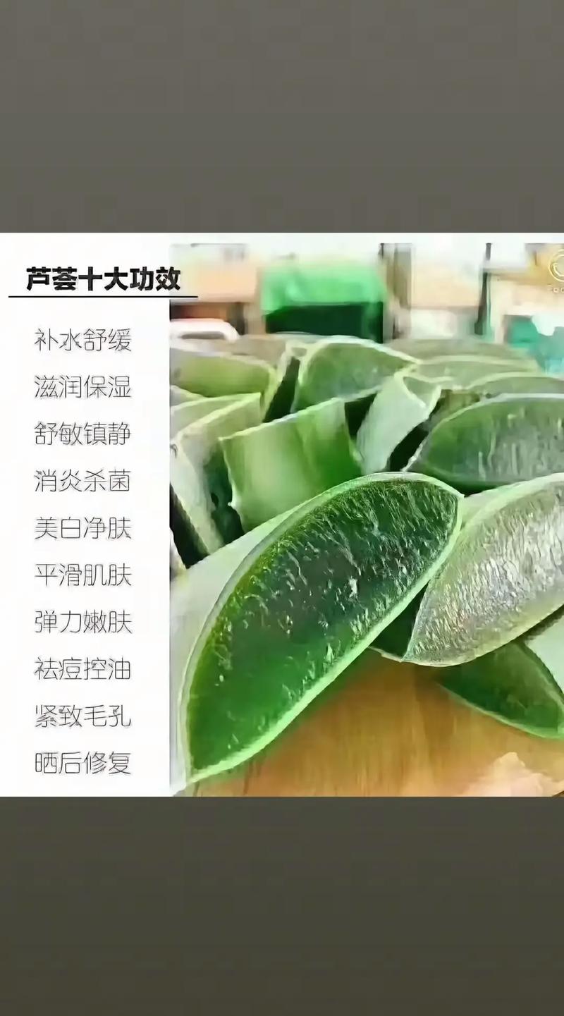 什么芦荟祛痘印效果最好？-图2