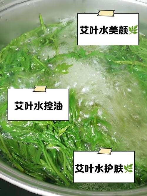 艾草煮水洗脸真能祛痘吗？-图1