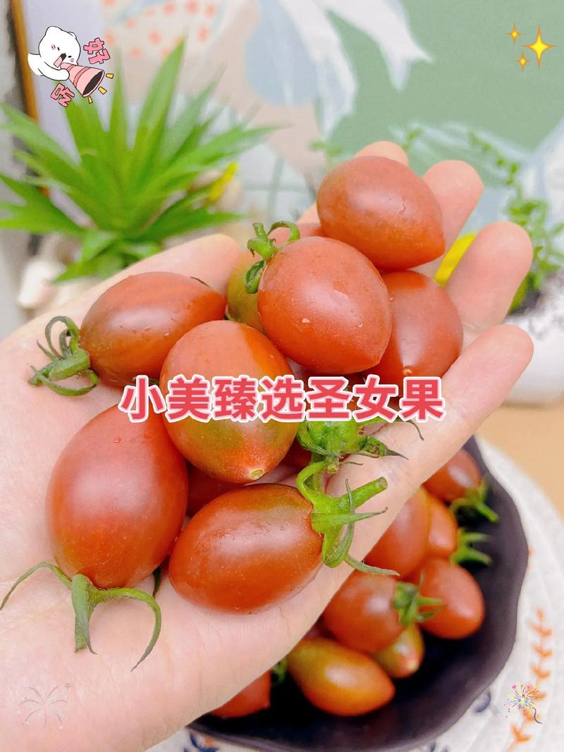 圣女果真的能祛痘美容吗？-图3