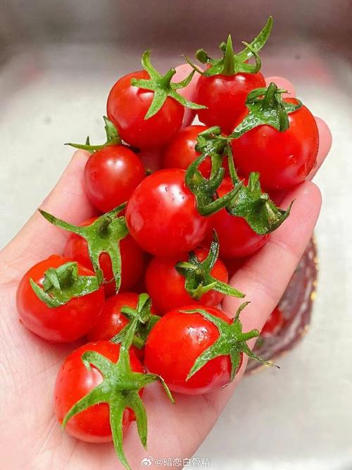 圣女果真的能祛痘美容吗？-图2