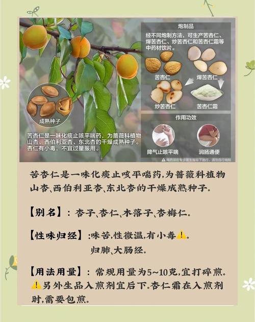 苦杏仁敷脸祛痘靠谱吗？-图2