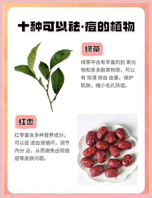 祛痘印选什么植物？哪种最有效？-图1