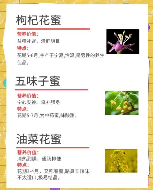 蜂蜜护肤品有哪些护肤好处？-图3