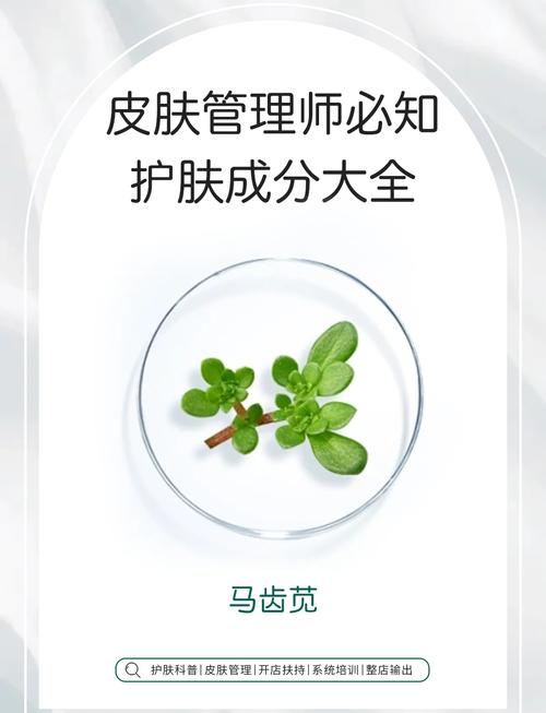 植物护肤真有效？功效作用有哪些？-图1