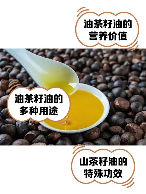 茶籽油真的能祛痘吗?-图3 茶籽油真的能祛痘吗?-图3