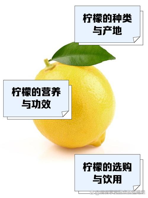 柠檬切片能祛痘印吗？-图2