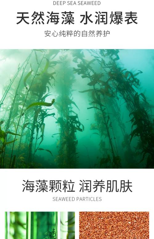 海藻面膜用什么水祛痘-图3 海藻面膜用什么水祛痘-图3