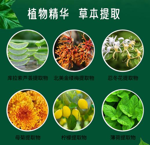 本草精华祛痘液怎么用才有效？-图2