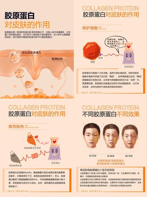 胶原蛋白护肤品真的能补充皮肤胶原吗？-图1