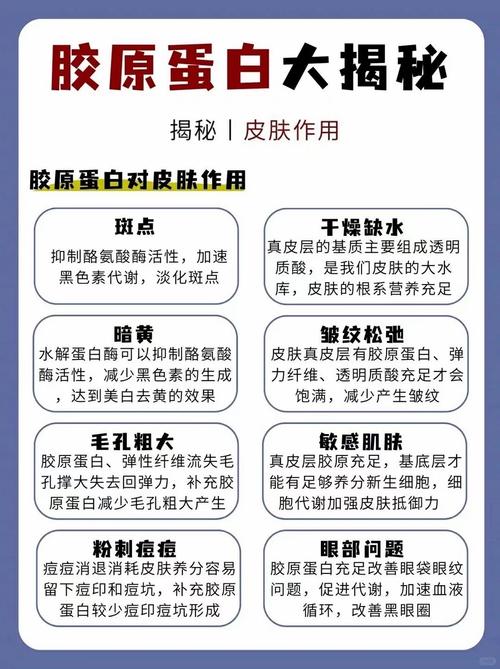 胶原蛋白护肤品真的能补充皮肤胶原吗？-图2