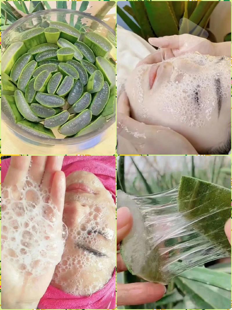 自制蜂蜜芦荟面膜真的能祛痘吗？-图2