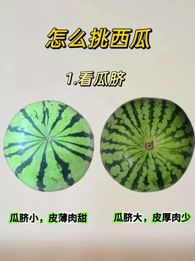 西瓜皮真能祛痘印祛斑吗？-图2