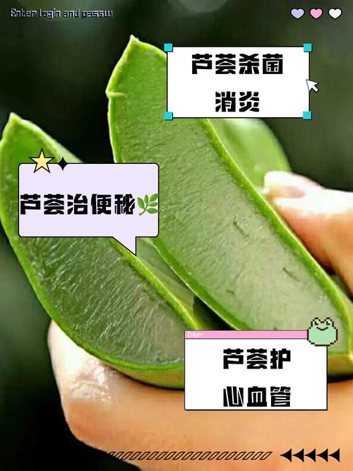 芦荟祛痘多久能见效？-图2