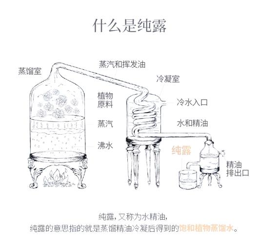小甘菊护肤一套多少钱？-图3