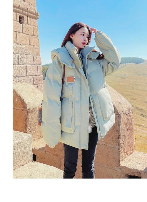 冬天韩版女装外套新款,有哪些时尚亮点?-图2 冬天韩版女装外套新款,有哪些时尚亮点?-图2