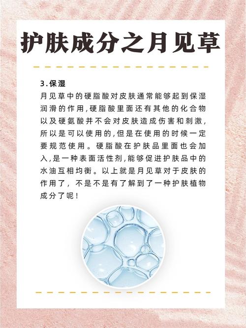 月见草真的能祛痘吗？-图1