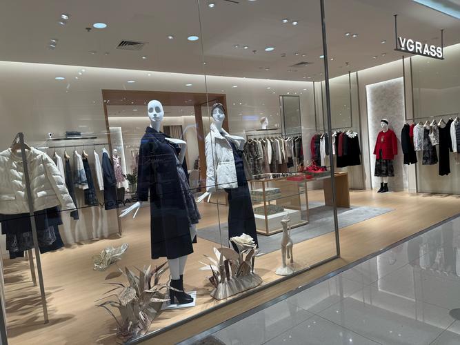 DSI品牌女装有何独特魅力？-图1