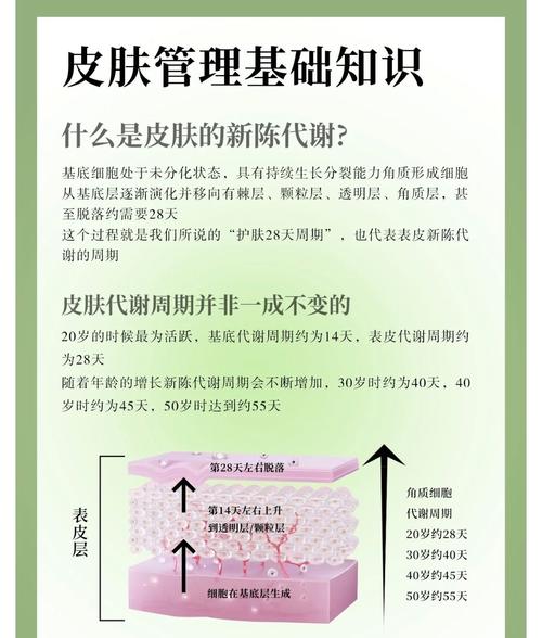 护肤品多久能被皮肤吸收？-图1