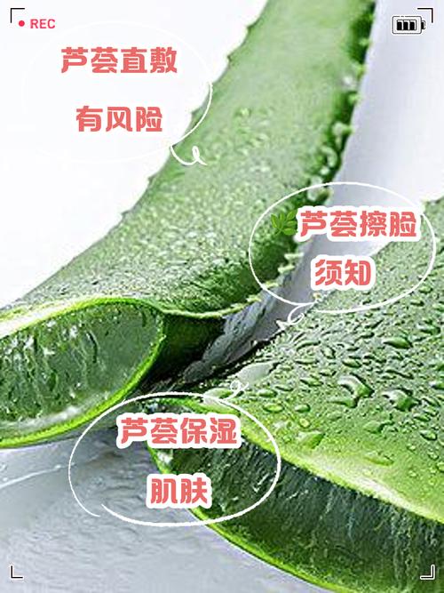 鲜芦荟怎么用才有效祛痘印？-图3