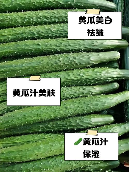 黄瓜汁敷脸真能祛痘吗？-图2