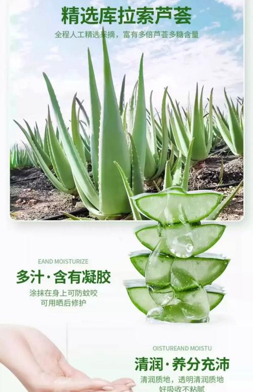 哪种芦荟能祛痘？-图1