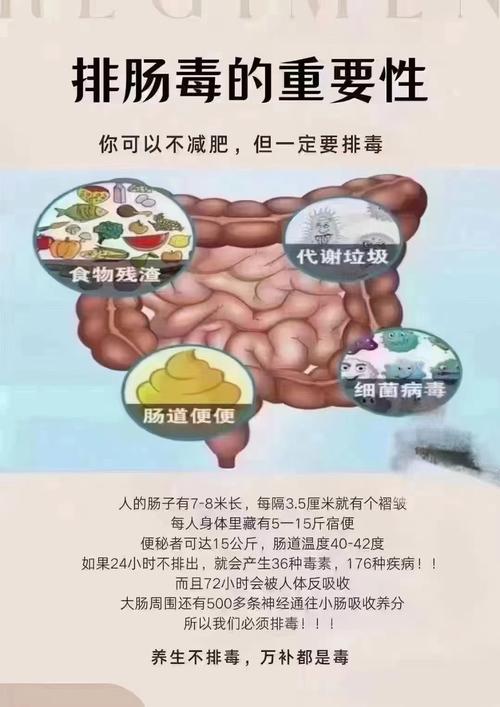 护肤品真能排毒吗?-图1 护肤品真能排毒吗?-图1