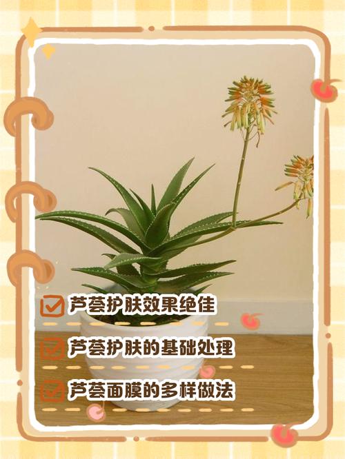 芦荟祛痘最简单方法是什么？-图2